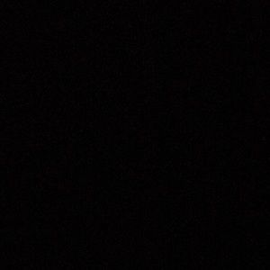 Meet your Posher, Angelo